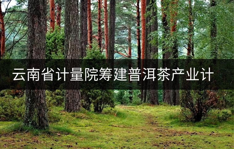 云南省計(jì)量院籌建普洱茶產(chǎn)業(yè)計(jì)量測試中心 云南省計(jì)量院籌建普洱茶產(chǎn)業(yè)計(jì)量測試中心