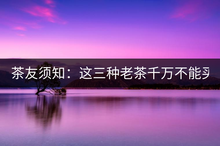 茶友須知：這三種老茶千萬不能買！