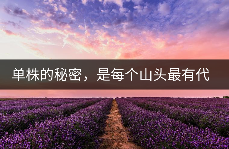 單株的秘密，是每個(gè)山頭最有代表性的味道？