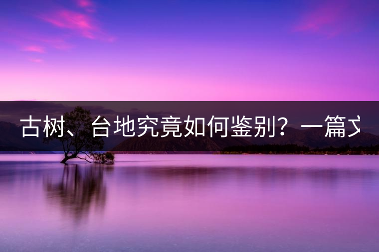 古樹、臺地究竟如何鑒別？一篇文章說透！