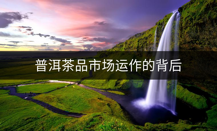 普洱茶品市場運(yùn)作的背后 普洱茶品市場運(yùn)作的背后