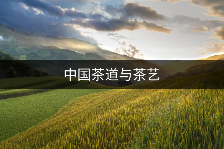 中國(guó)茶道與茶藝
