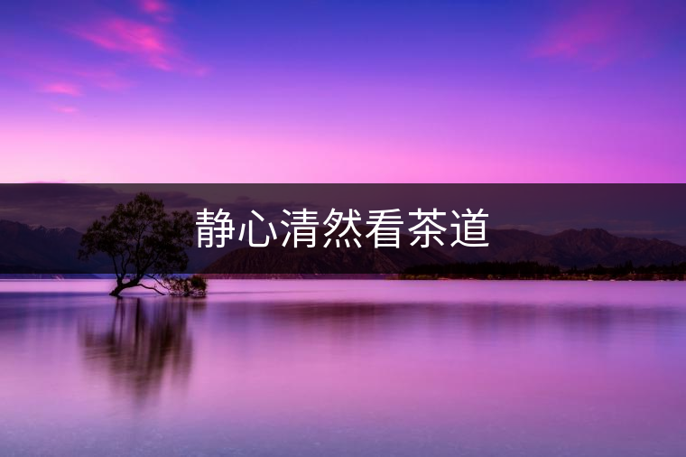 靜心清然看茶道