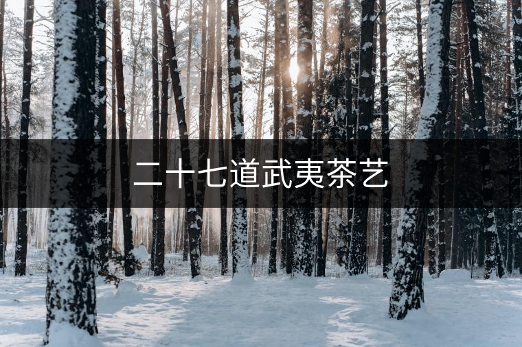 二十七道武夷茶藝