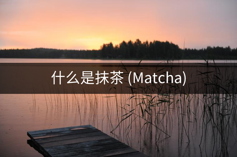什么是抹茶 (Matcha) 什么是抹茶 (Matcha)