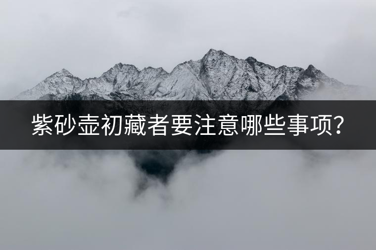 紫砂壺初藏者要注意哪些事項(xiàng)？