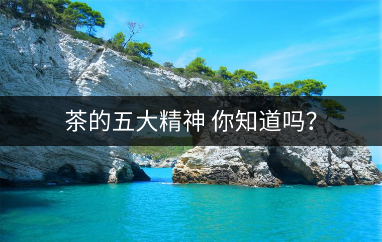 茶的五大精神 你知道嗎？