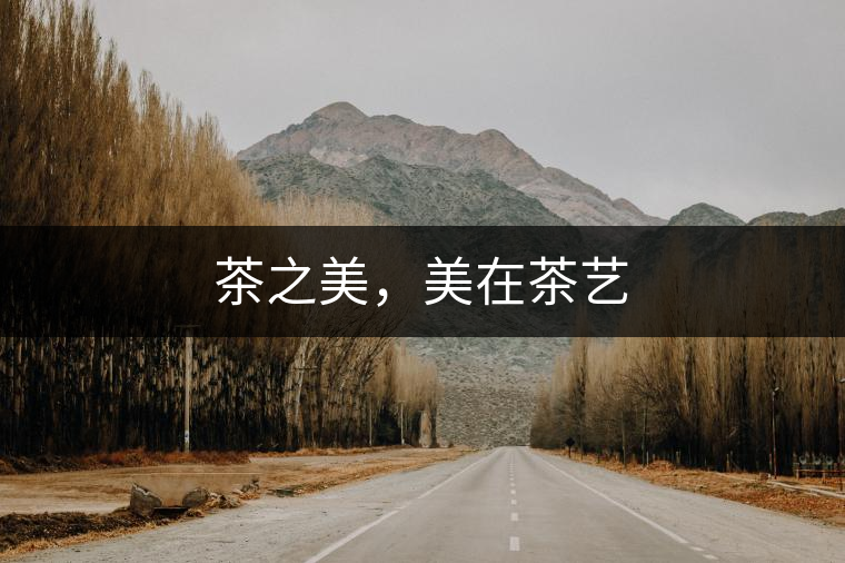 茶之美，美在茶藝
