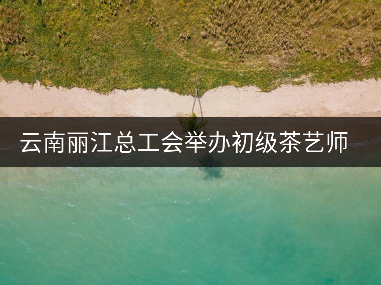 云南麗江總工會(huì)舉辦初級(jí)茶藝師培訓(xùn)