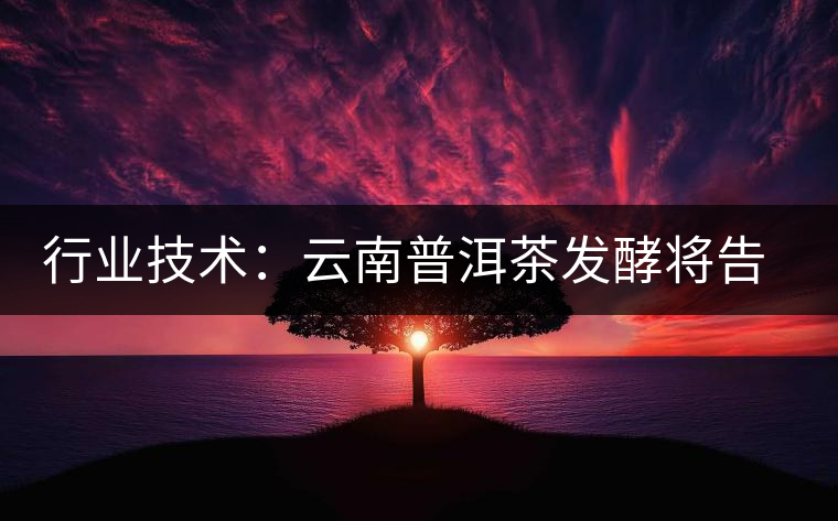 行業(yè)技術(shù)：云南普洱茶發(fā)酵將告別手工翻堆