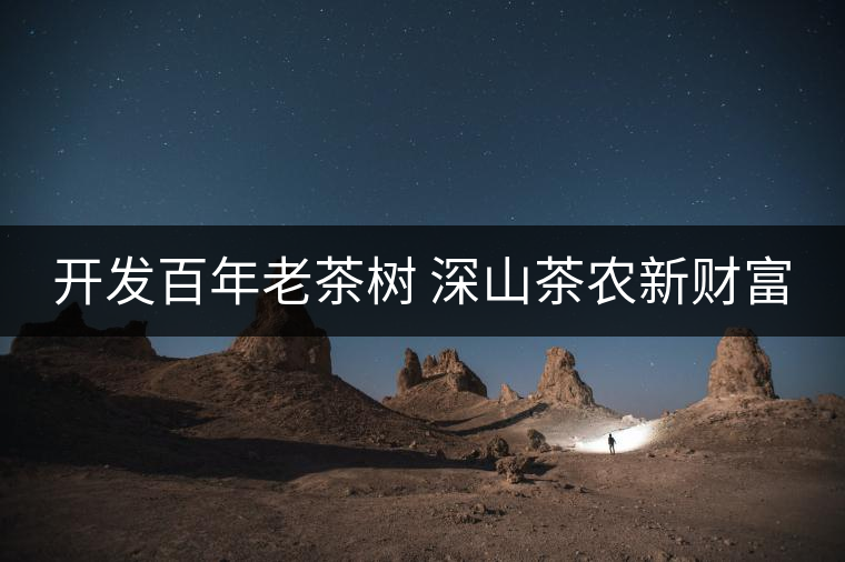 開發(fā)百年老茶樹 深山茶農(nóng)新財(cái)富