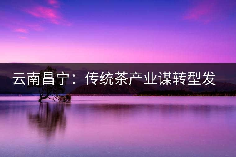 云南昌寧：傳統(tǒng)茶產(chǎn)業(yè)謀轉(zhuǎn)型發(fā)展