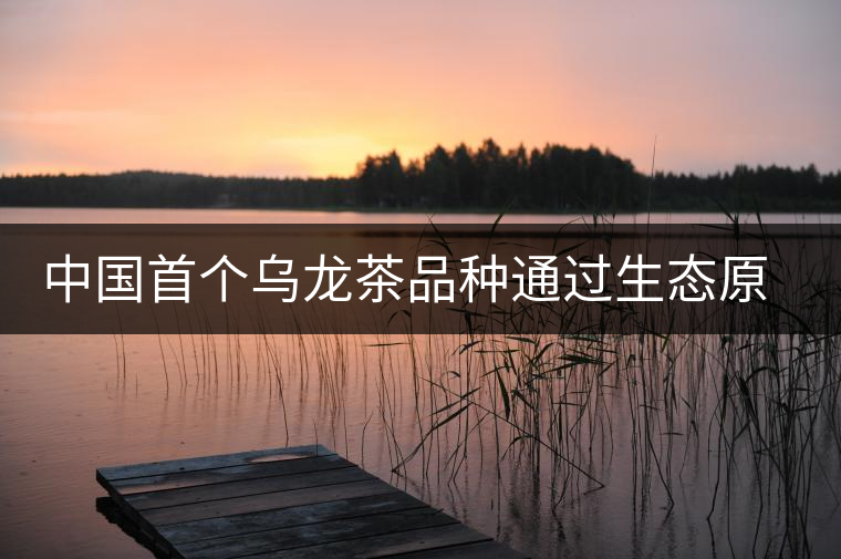 中國首個(gè)烏龍茶品種通過生態(tài)原產(chǎn)地產(chǎn)品保護(hù)現(xiàn)場評定 中國首個(gè)烏龍茶品種通過生態(tài)原產(chǎn)地產(chǎn)品保護(hù)現(xiàn)場評定