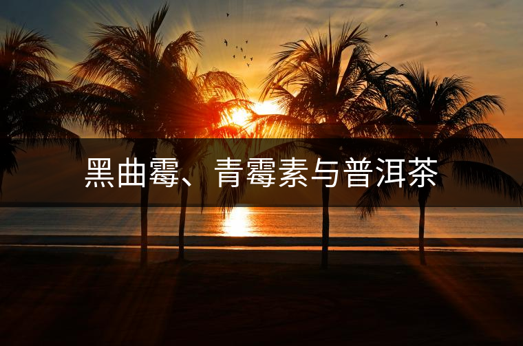 黑曲霉、青霉素與普洱茶