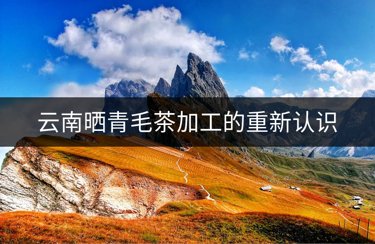 云南曬青毛茶加工的重新認(rèn)識(shí) 云南曬青毛茶加工的重新認(rèn)識(shí)