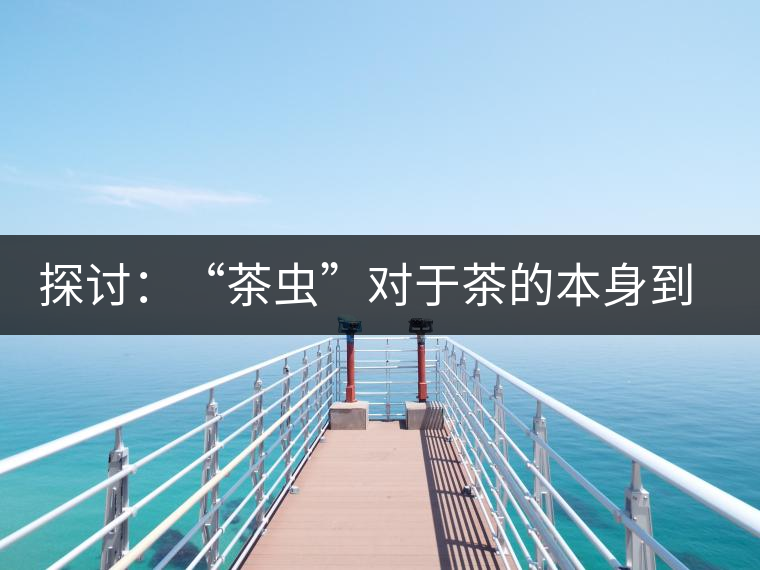 探討：“茶蟲(chóng)”對(duì)于茶的本身到底是好是壞？