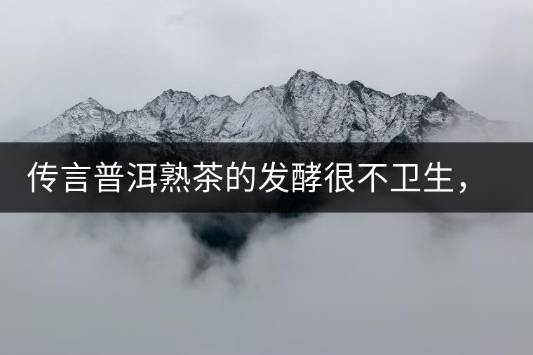 傳言普洱熟茶的發(fā)酵很不衛(wèi)生，是真的嗎？