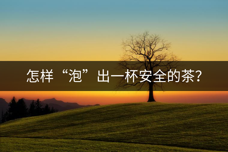 怎樣“泡”出一杯安全的茶？