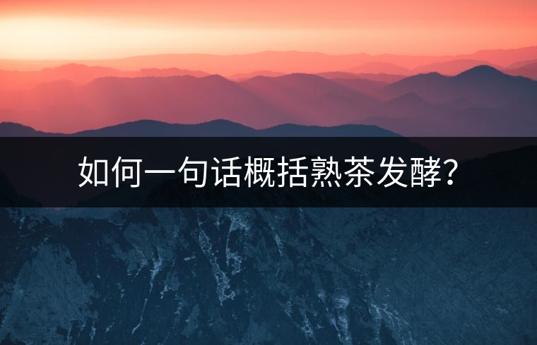 如何一句話概括熟茶發(fā)酵？