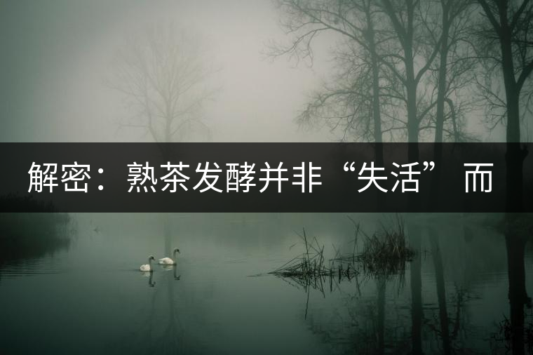解密:熟茶發(fā)酵并非“失活” 而是涅槃后的“重生” 解密:熟茶發(fā)酵并非“失活” 而是涅槃后的“重生”