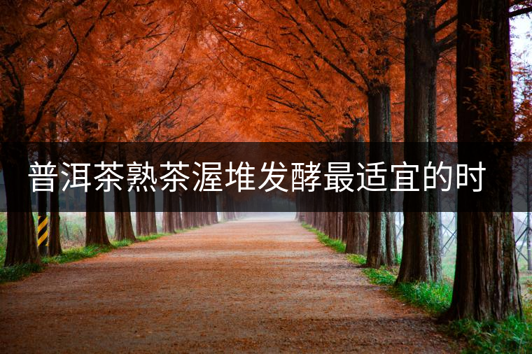 普洱茶熟茶渥堆發(fā)酵最適宜的時期是什么時候？