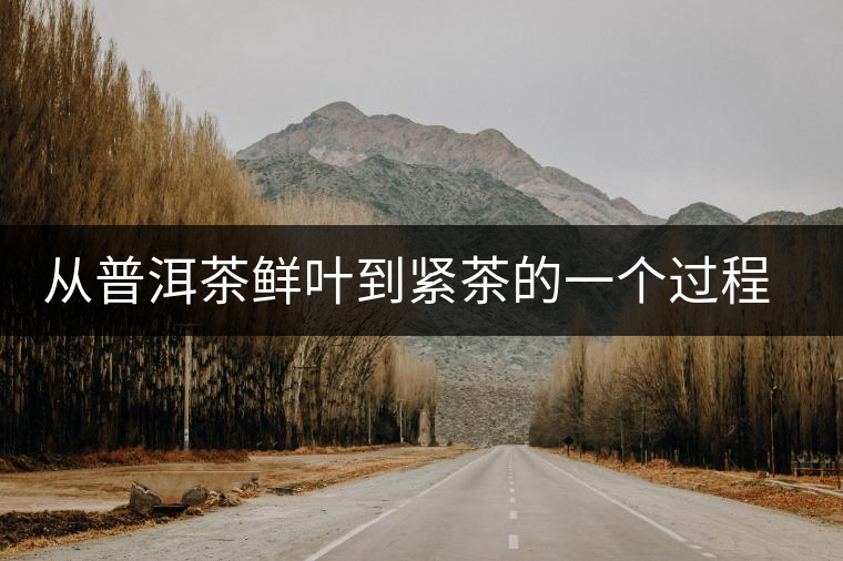 從普洱茶鮮葉到緊茶的一個(gè)過(guò)程介紹