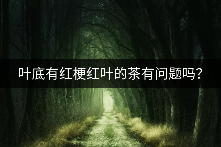 葉底有紅梗紅葉的茶有問(wèn)題嗎? 葉底有紅梗紅葉的茶有問(wèn)題嗎?