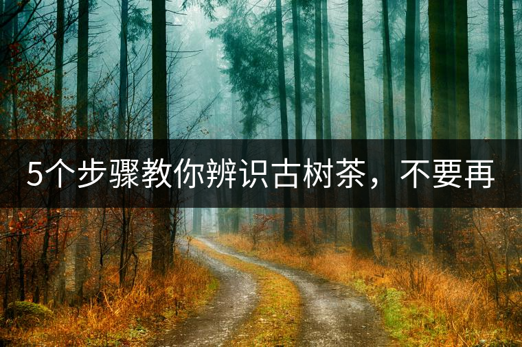 5個步驟教你辨識古樹茶，不要再被騙了！