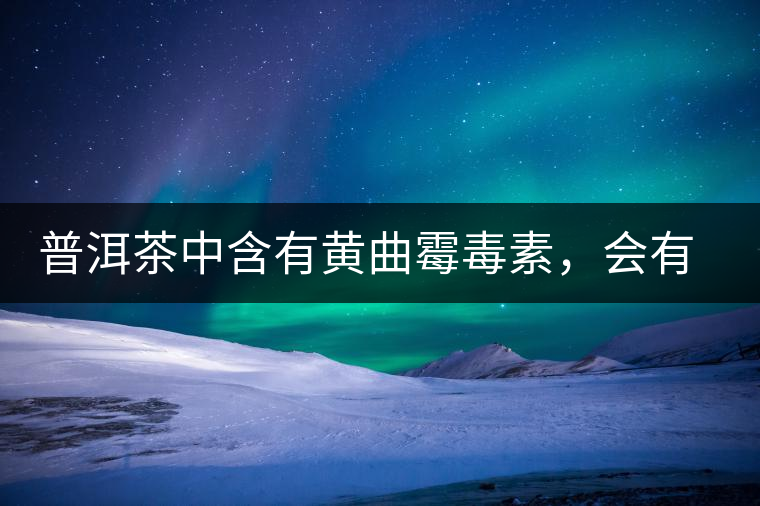 普洱茶中含有黃曲霉毒素，會(huì)有致癌的危險(xiǎn)？終于有明確的答案了