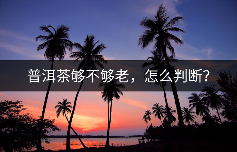 普洱茶夠不夠老，怎么判斷？