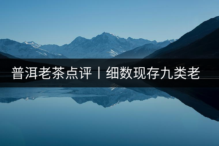 普洱老茶點(diǎn)評(píng)丨細(xì)數(shù)現(xiàn)存九類老茶的特點(diǎn)