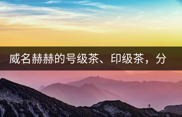 威名赫赫的號級茶、印級茶，分別是些什么普洱茶？