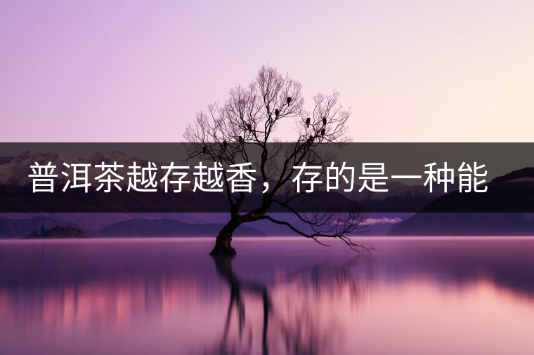 普洱茶越存越香，存的是一種能量