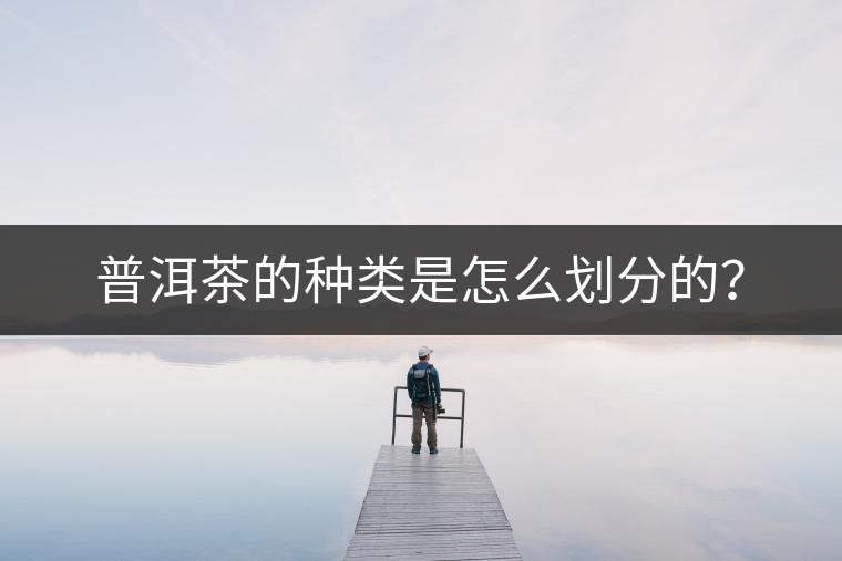 普洱茶的種類是怎么劃分的？