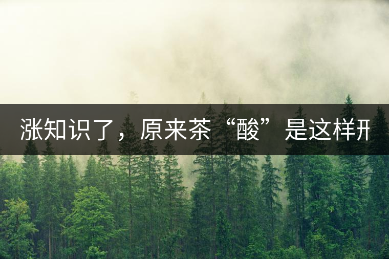 漲知識了，原來茶“酸”是這樣形成的！