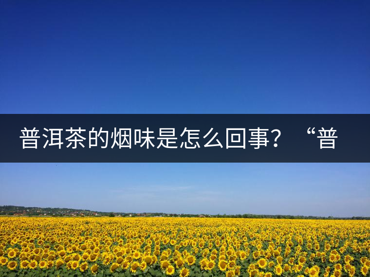 普洱茶的煙味是怎么回事？“普洱教父”白水清最新解析！
