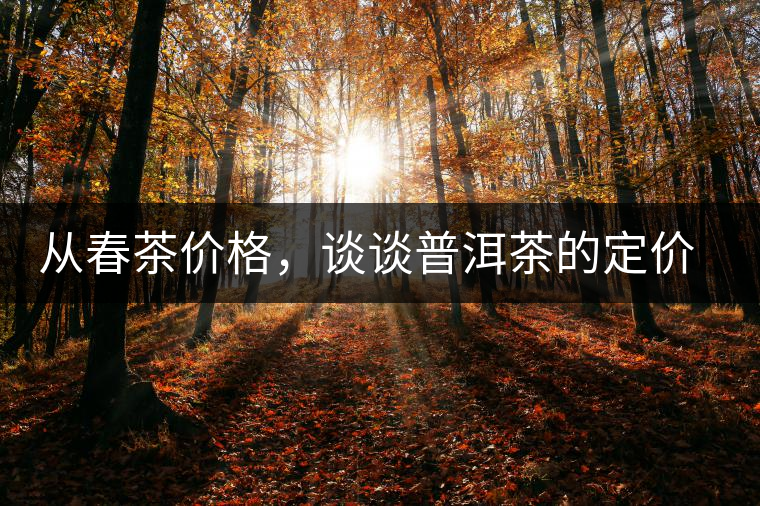 從春茶價格,談談普洱茶的定價權 從春茶價格,談談普洱茶的定價權