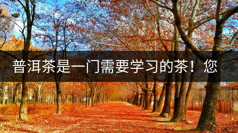 普洱茶是一門需要學習的茶！您學到了多少？看看專家怎么說