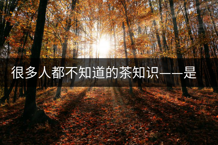 很多人都不知道的茶知識——是什么造就了普洱茶的一山一味？