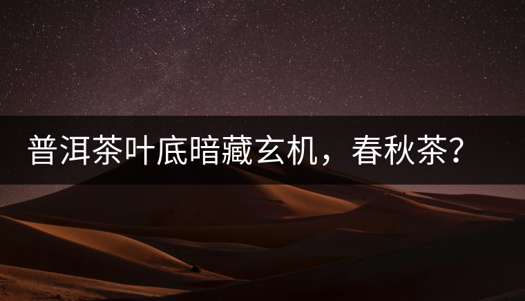 普洱茶葉底暗藏玄機(jī)，春秋茶？大樹(shù)茶？野生茶？班章料？你讀懂了嗎？