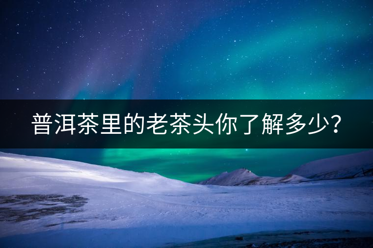 普洱茶里的老茶頭你了解多少？
