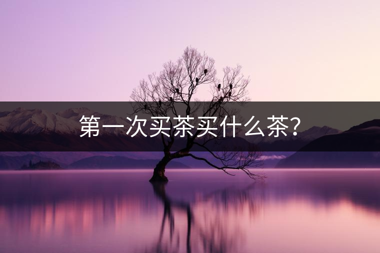 第一次買(mǎi)茶買(mǎi)什么茶？