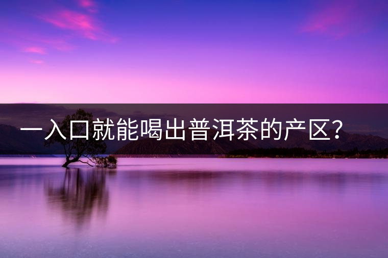 一入口就能喝出普洱茶的產(chǎn)區(qū)？怎么能不讀這篇文章呢？