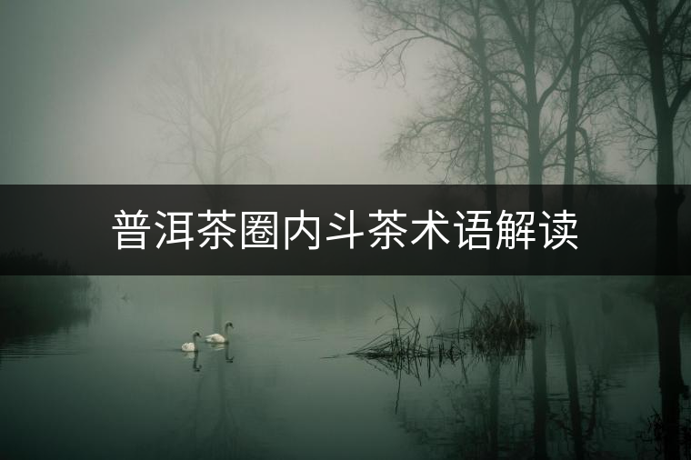 普洱茶圈內(nèi)斗茶術(shù)語(yǔ)解讀