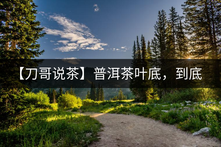 【刀哥說茶】普洱茶葉底，到底藏有多少玄機？