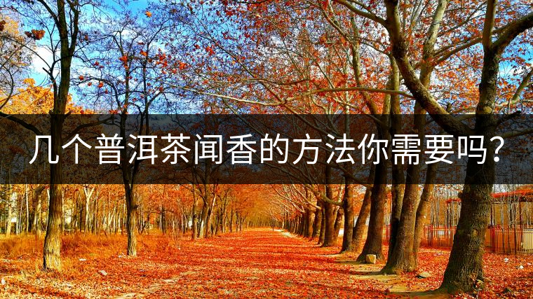 幾個普洱茶聞香的方法你需要嗎？