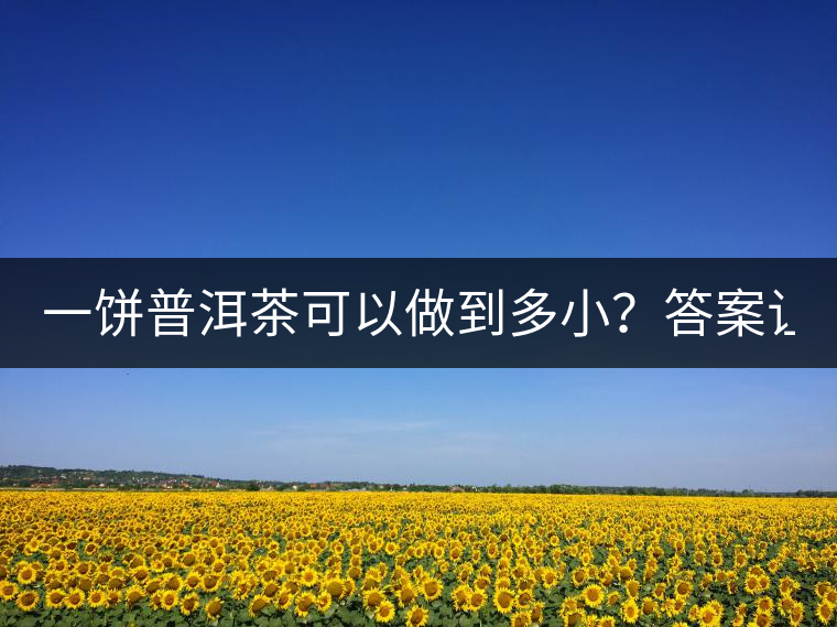 一餅普洱茶可以做到多??？答案讓人意想不到...