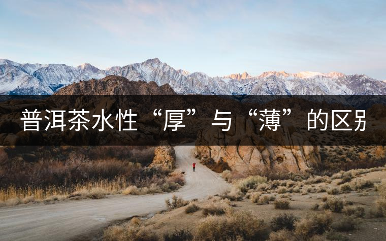 普洱茶水性“厚”與“薄”的區(qū)別！