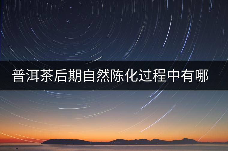 普洱茶后期自然陳化過程中有哪些變化？