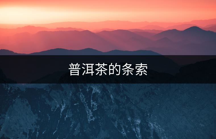 普洱茶的條索 普洱茶的條索